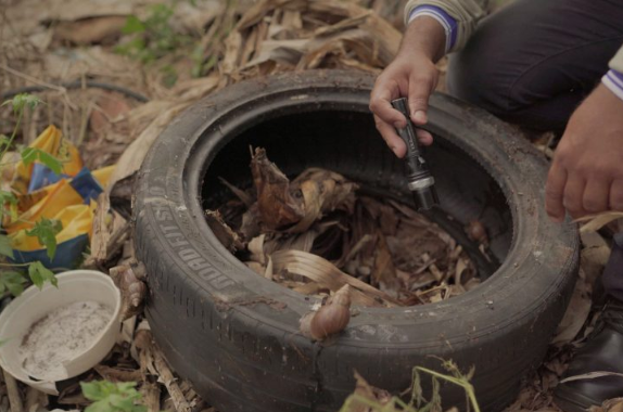 Imagem de compartilhamento para o artigo Costa Rica apresenta a quarta maior incidência de dengue no Estado, conforme boletim epidemiológico da MS Todo dia